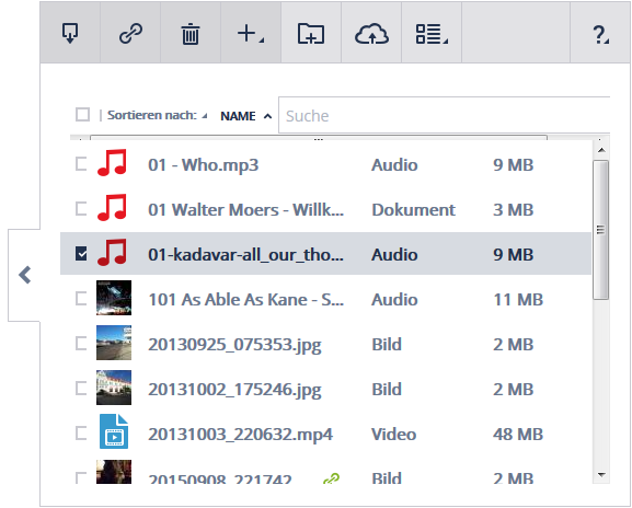 Screenshot der Dateien-Verwaltung